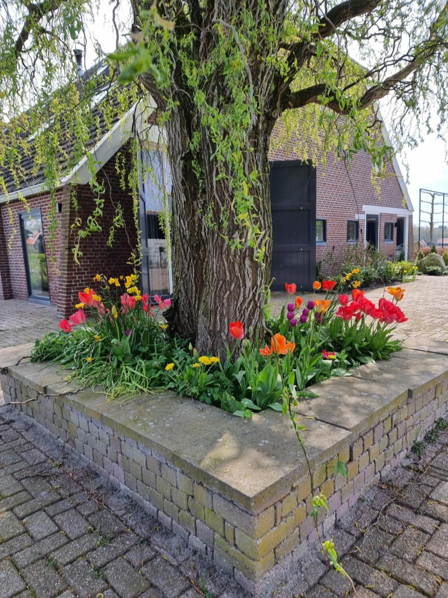 De Schotse Hooglander Bed and Breakfast Smilde Eksteriør billede